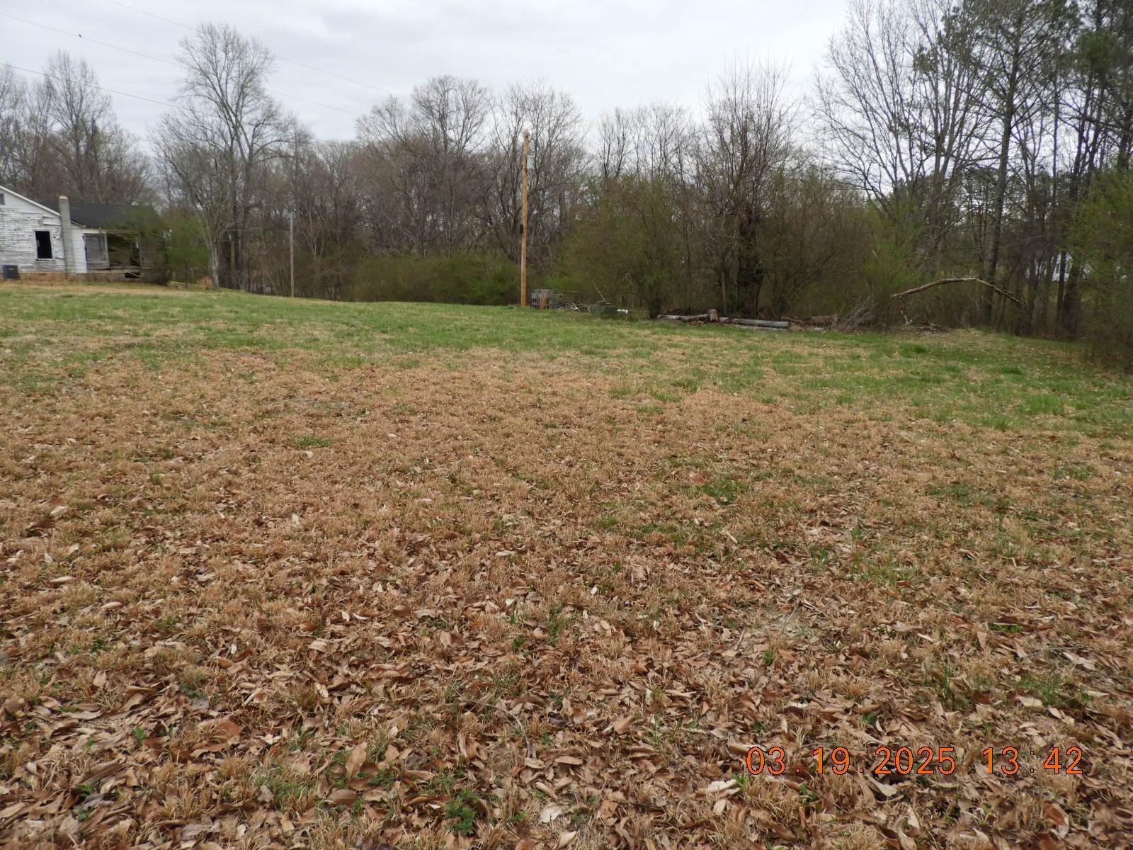 701 Oak Grove Road Goodspring, TN 38460 - Photo 8 of 17 a view of outdoor space with deck and yard