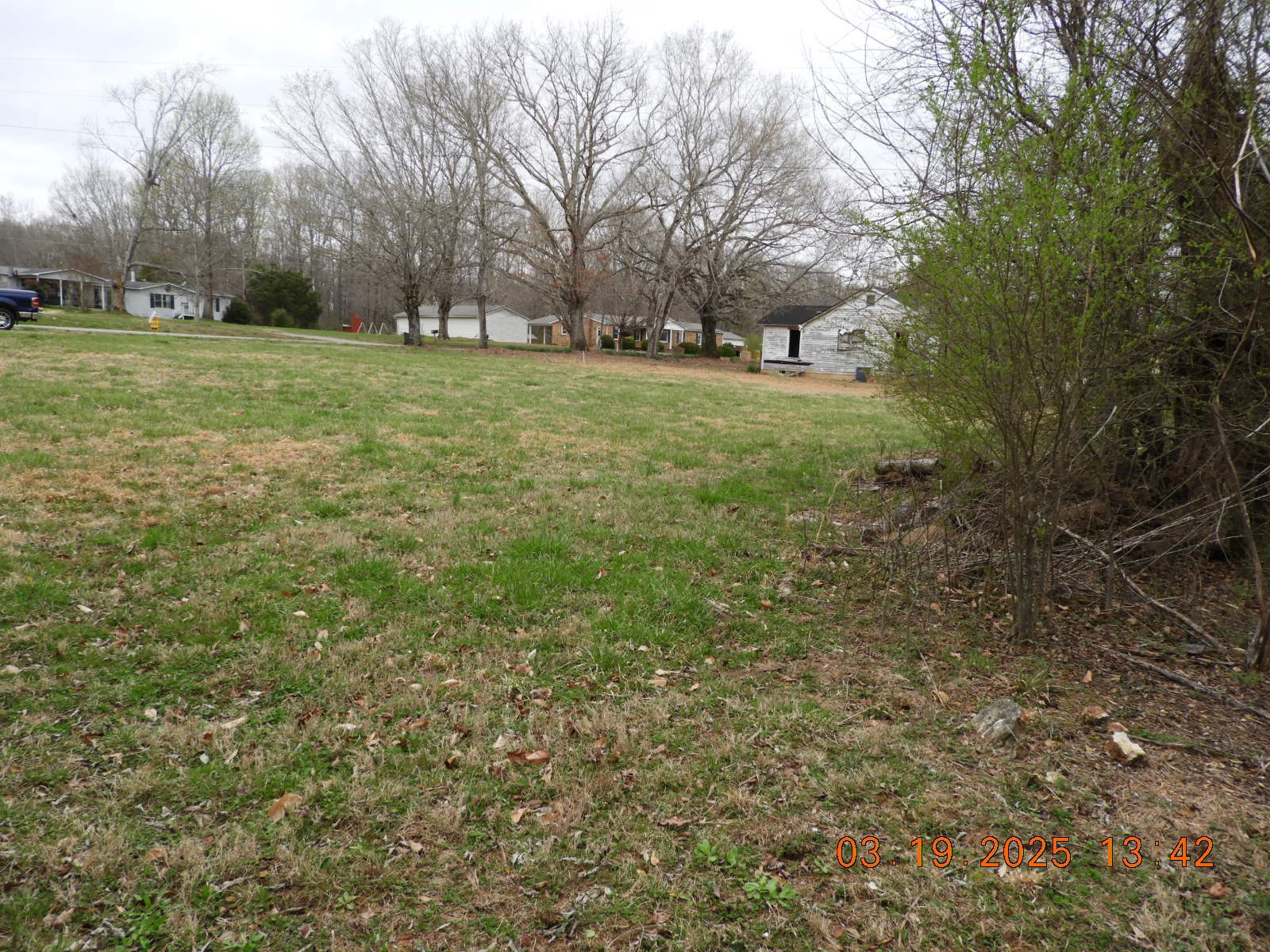 701 Oak Grove Road Goodspring, TN 38460 - Photo 9 of 17 a view of a trees in a yard