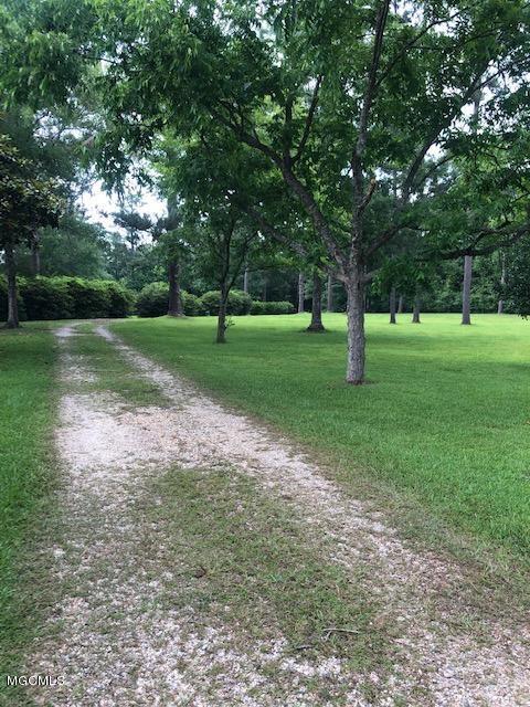 212 Holcomb Carroll Road Carriere, MS 39426 - Photo 2 of 21 Drive way