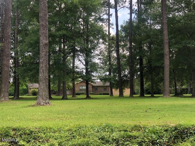 212 Holcomb Carroll Road Carriere, MS 39426 - Photo 6 of 21 HC4