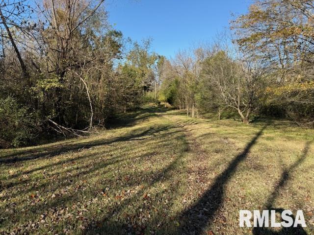 40 Crockett Road Carbondale, IL 62901 - Photo 6 of 11