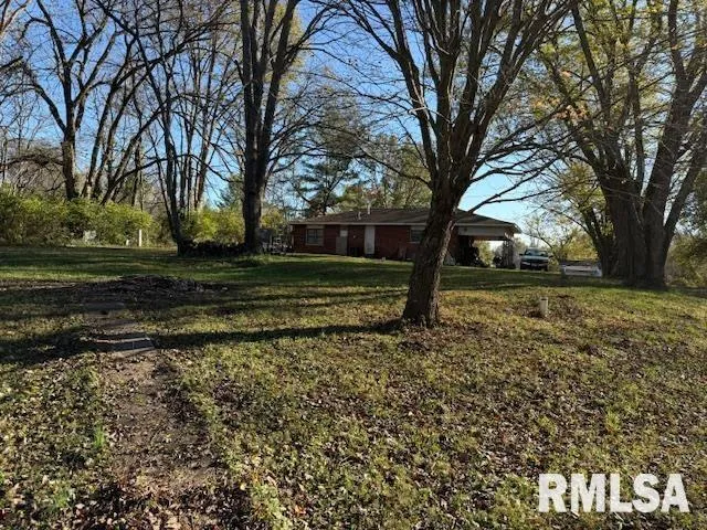 a view of a yard with large trees