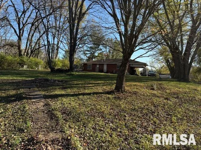 a view of a yard with large trees