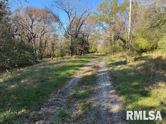 40 Crockett Road Carbondale, IL 62901 - Photo 8 of 11