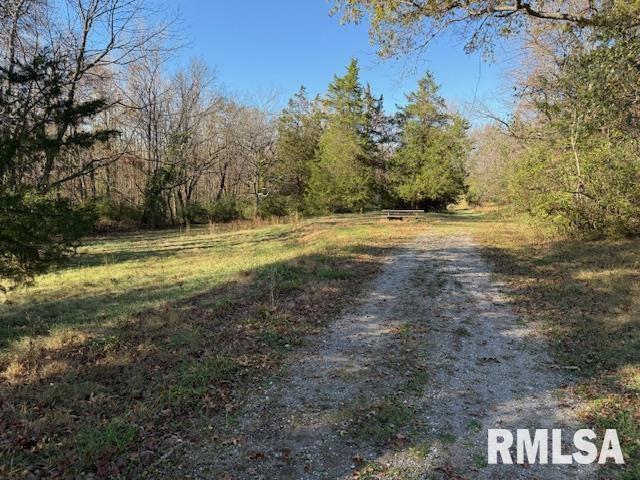 40 Crockett Road Carbondale, IL 62901 - Photo 9 of 11