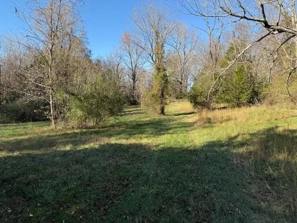 a fire hydrant in the middle of a field