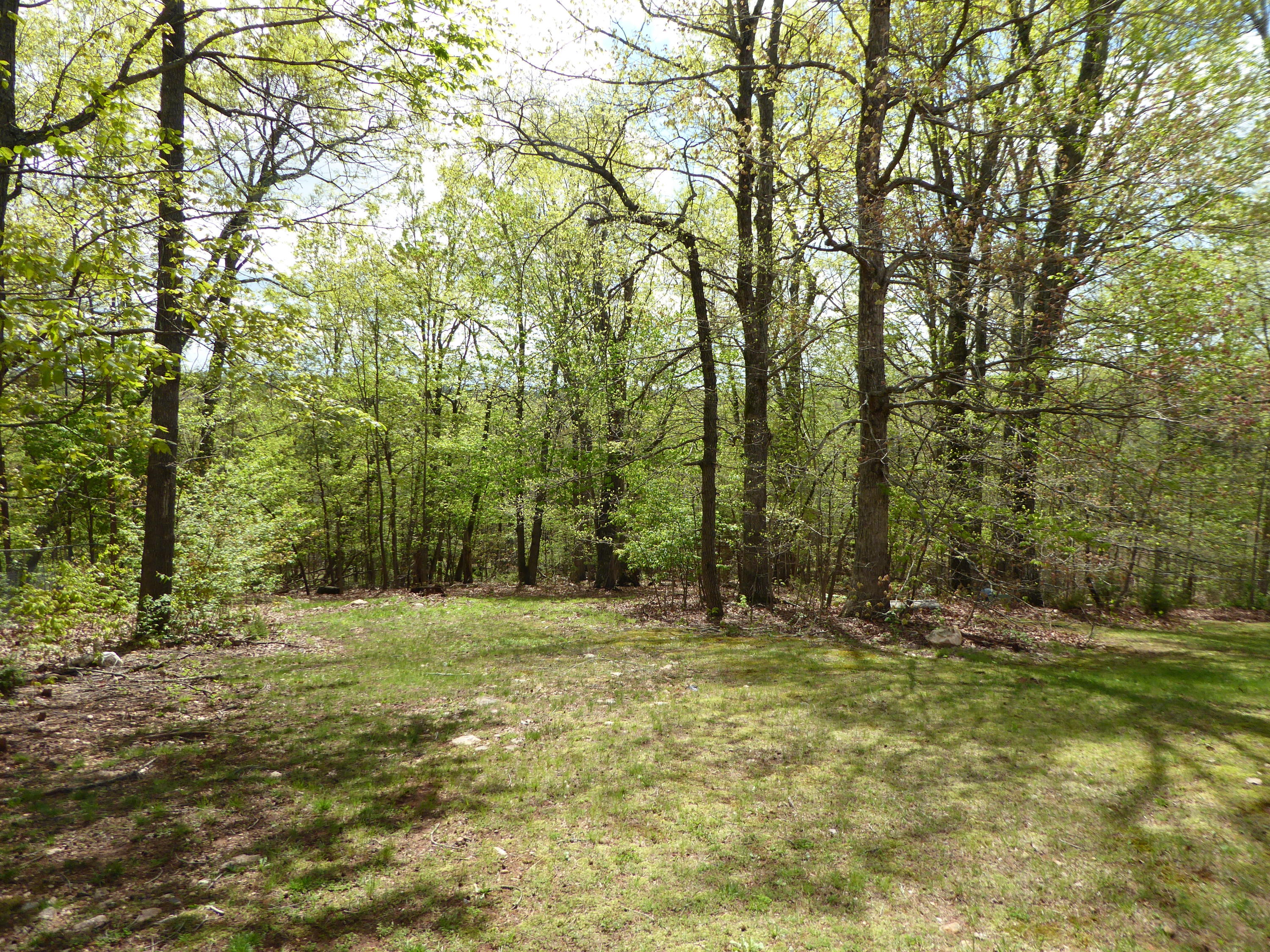 2420 Hardy Road Hardy, VA 24101 - Photo 13 of 19 a view of outdoor space with trees all around