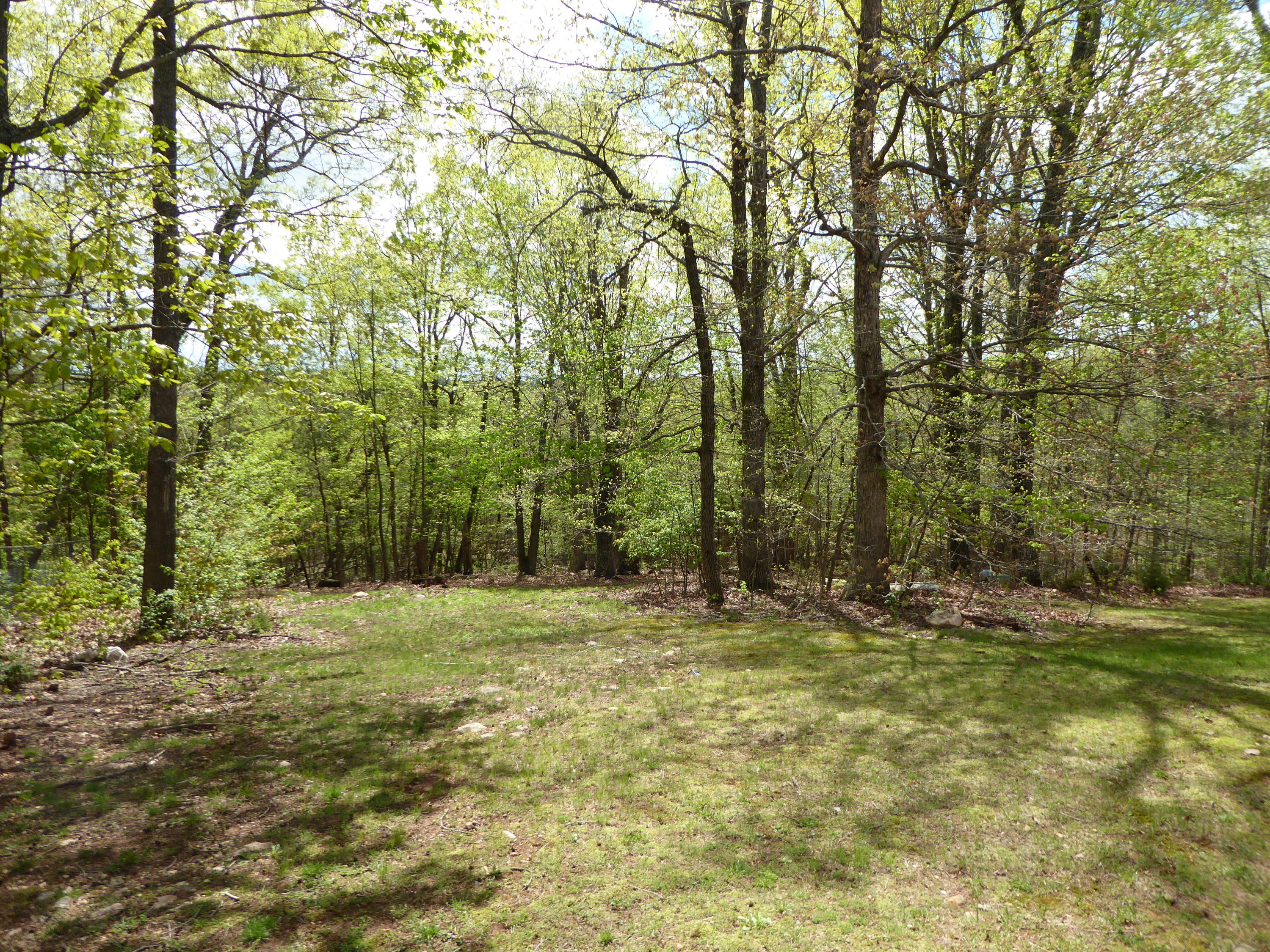 2420 Hardy Road Hardy, VA 24101 - Photo 14 of 19 a view of outdoor space with trees all around