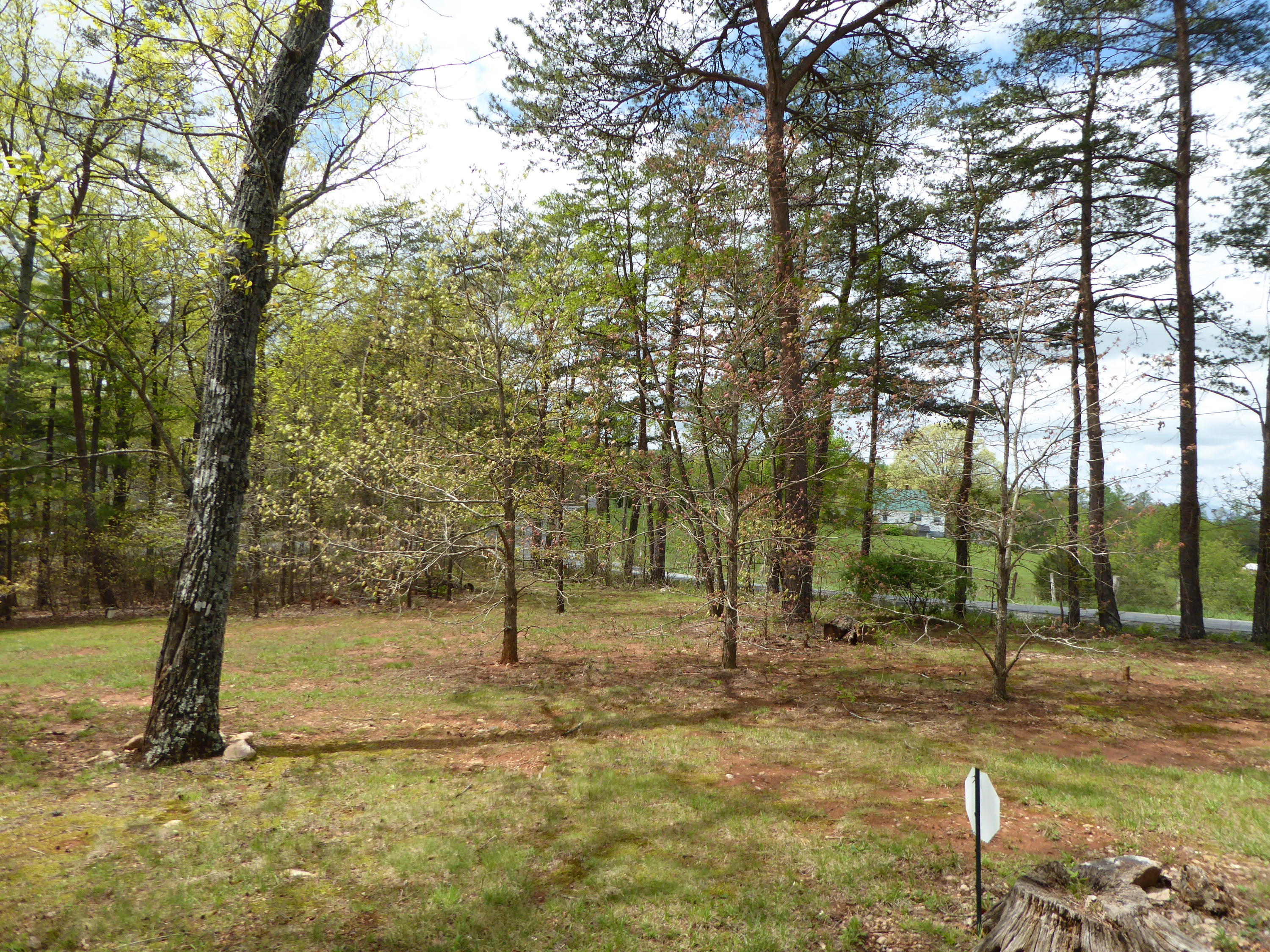 2420 Hardy Road Hardy, VA 24101 - Photo 15 of 19 a view of a tree in a yard