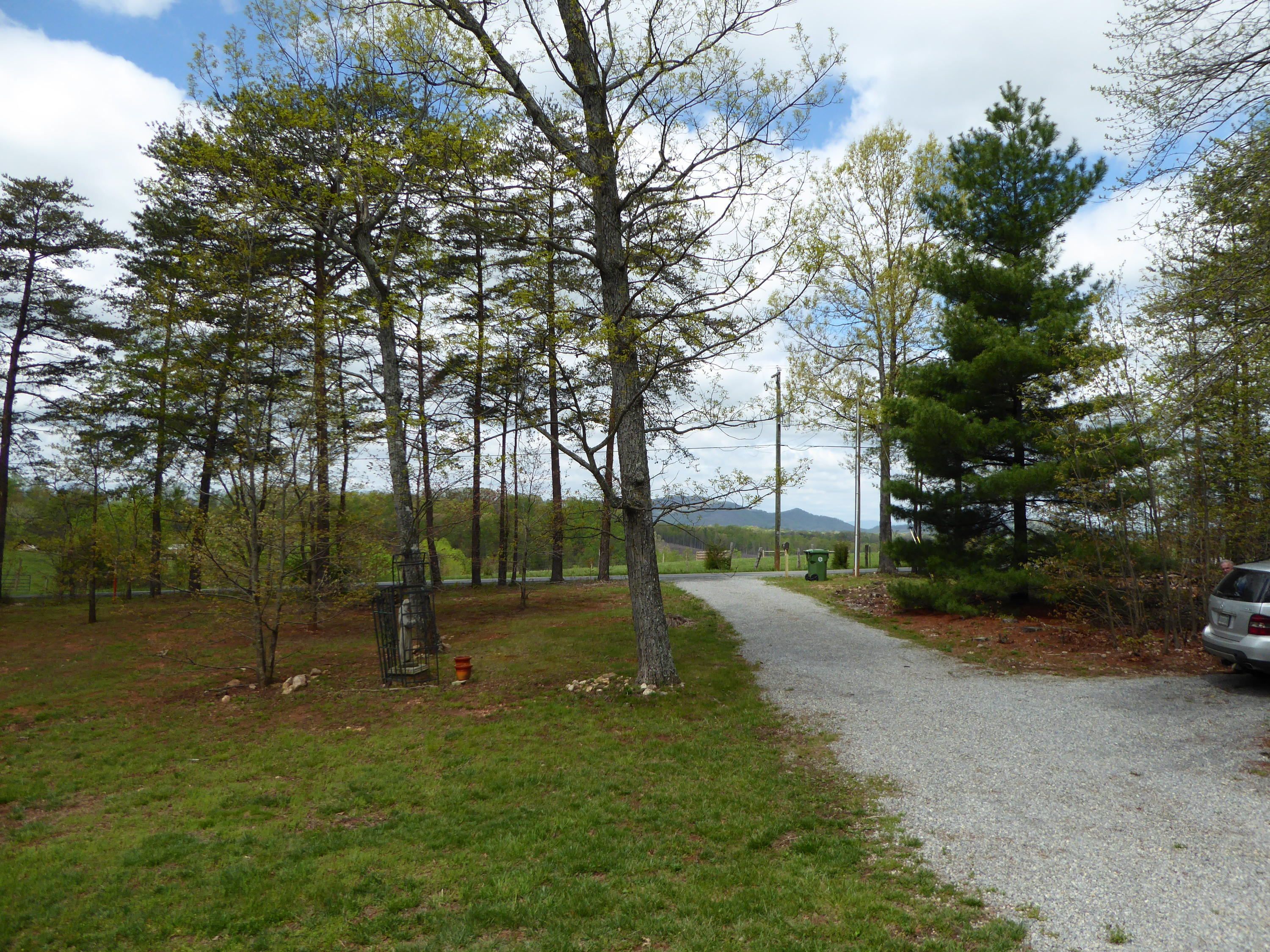 2420 Hardy Road Hardy, VA 24101 - Photo 16 of 19 a view of a park with large trees