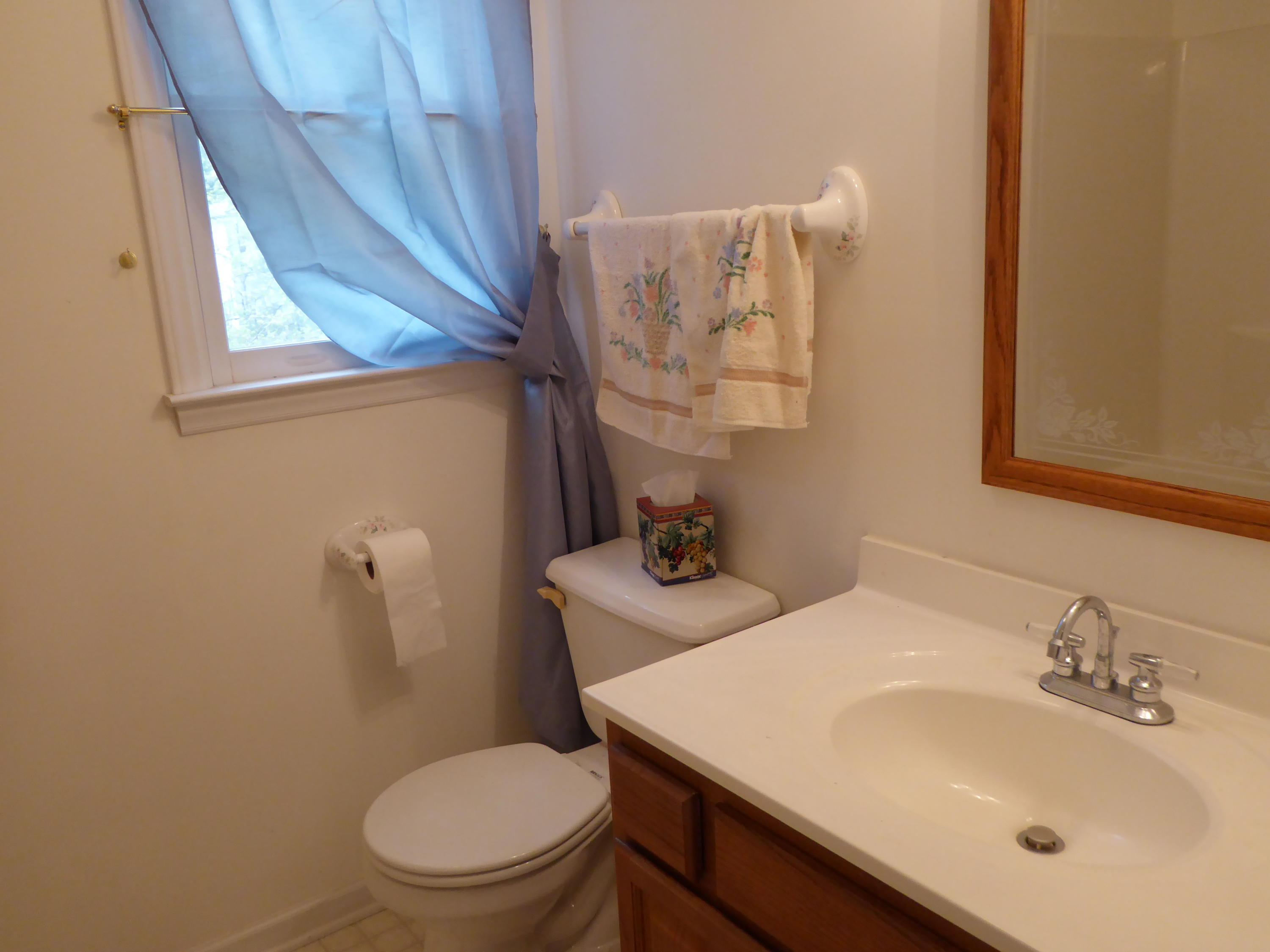 2420 Hardy Road Hardy, VA 24101 - Photo 9 of 19 a bathroom with a sink a toilet and mirror