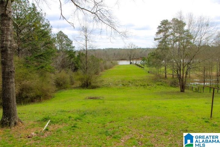 2391 Lock 3 Road Ragland, AL 35131 - Photo 31 of 37