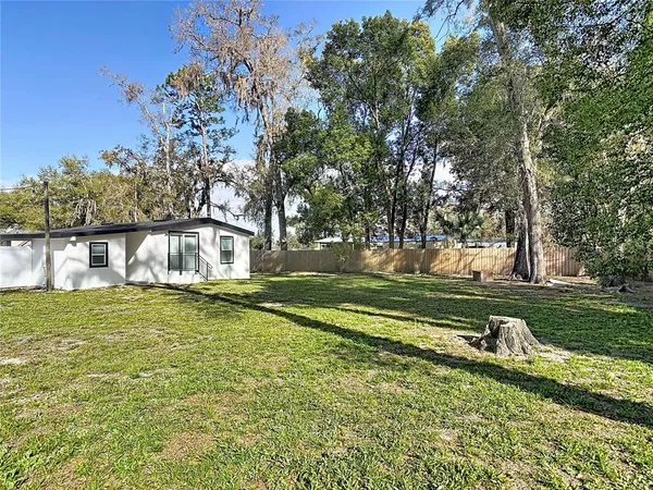 a view of a park with large trees