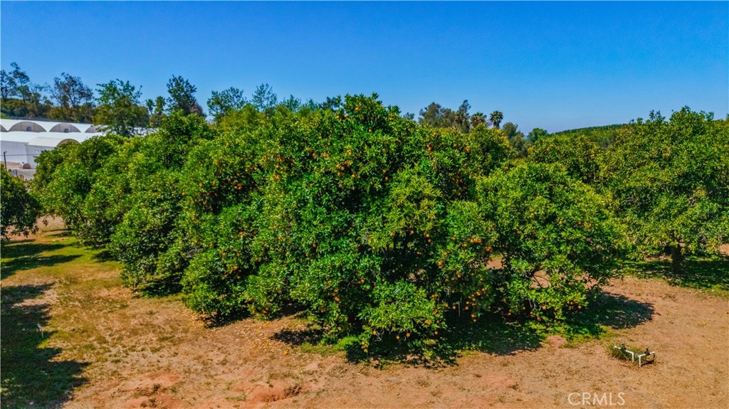8258 Via Urner Way Bonsall, CA 92003 - Photo 43 of 49