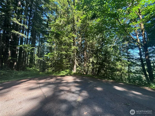 a view of a yard with a trees