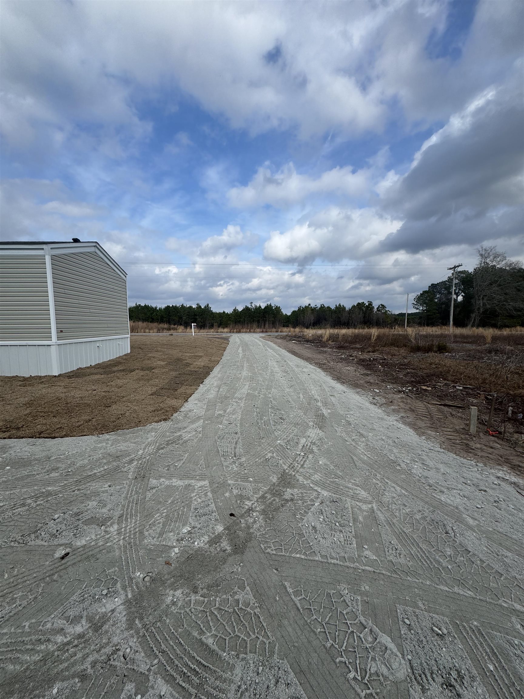 8535 Black Creek Road Nichols, SC 29581 - Photo 25 of 25