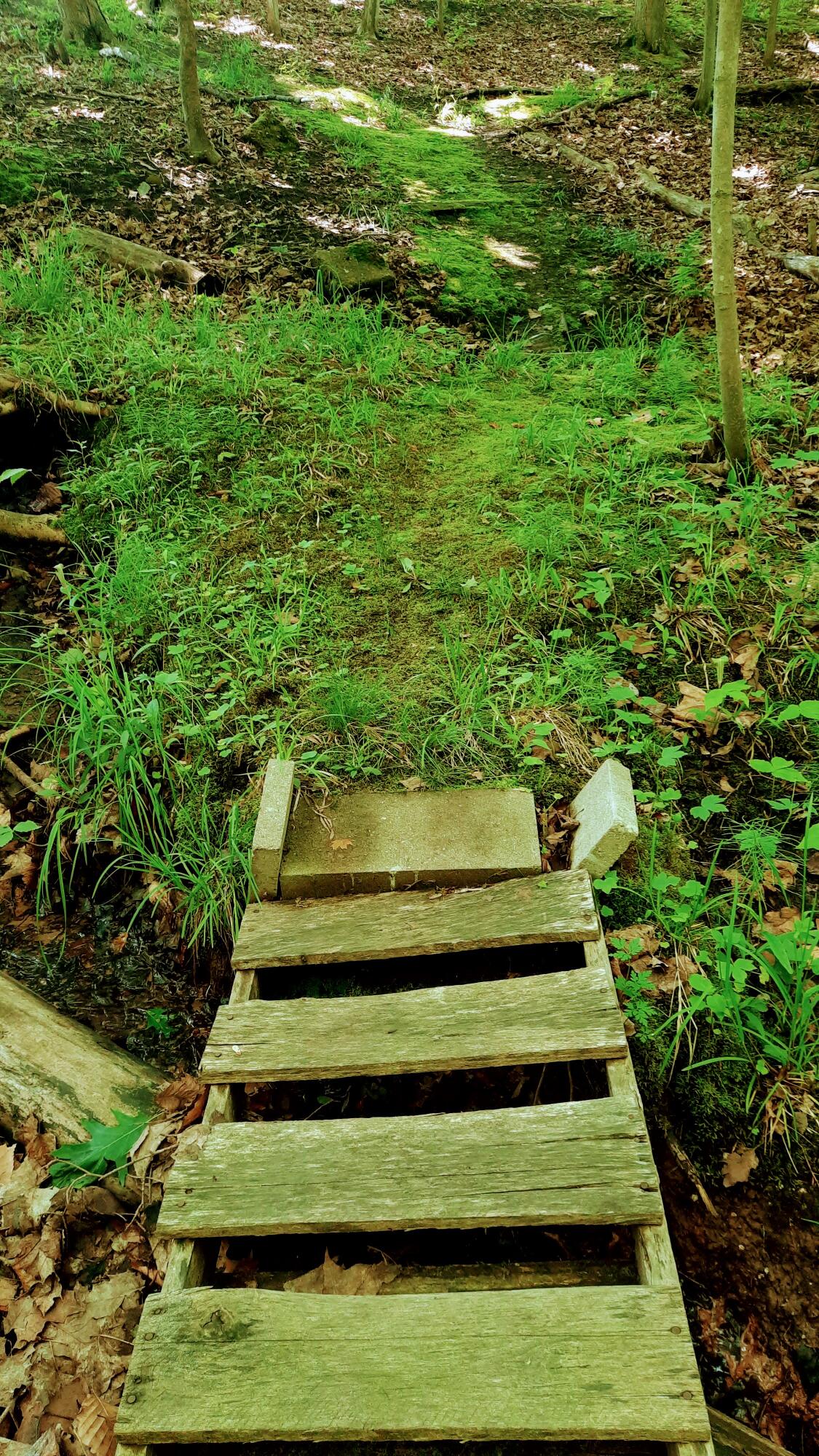 8424 3rd Street Onekama, MI 49675 - Photo 84 of 99 Small Bridge