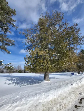 $99,000 | 0 Mountain View Road, Whitefield, NH 03598