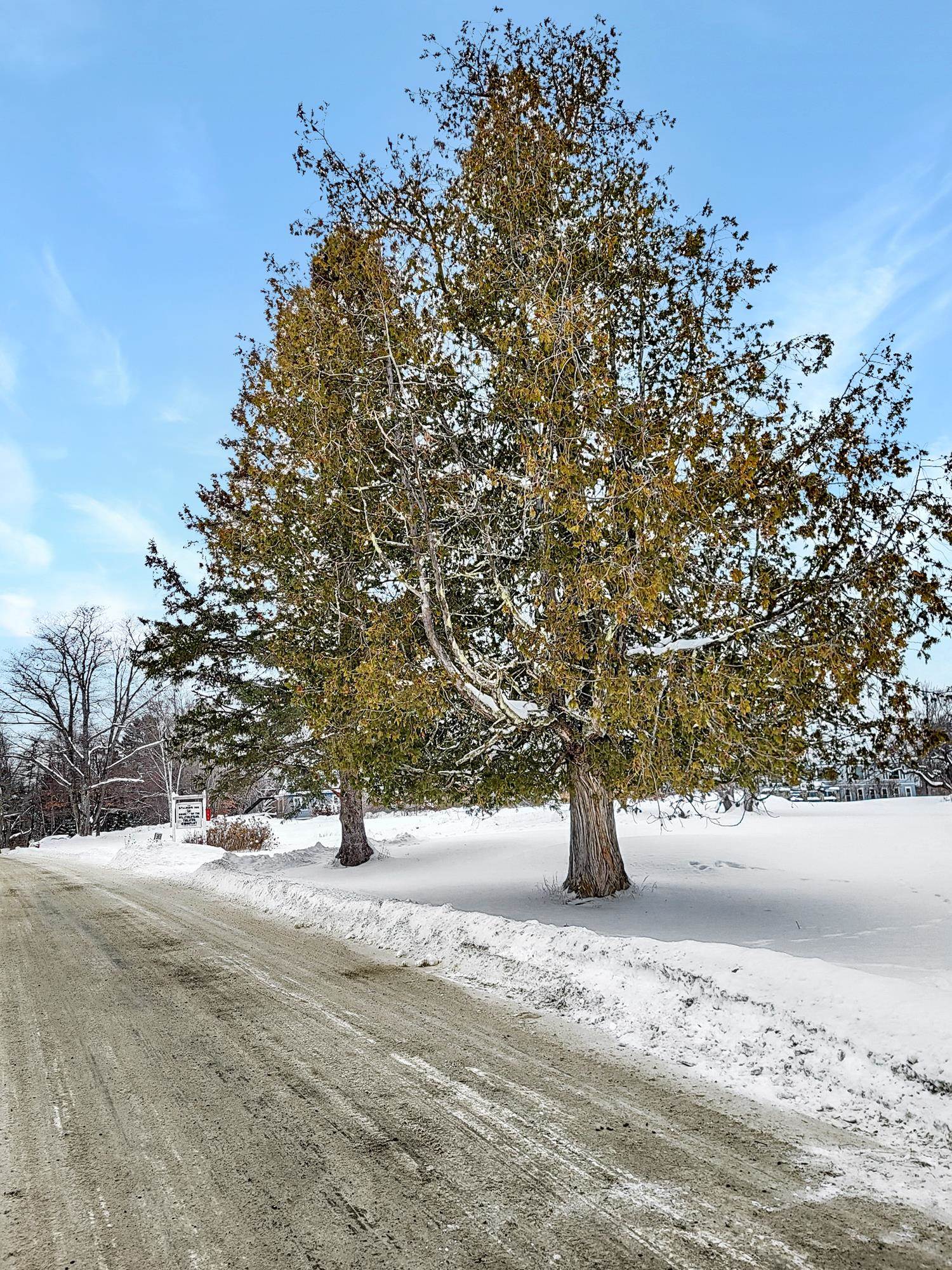 0 Mountain View Road Whitefield, NH 03598 - Photo 2 of 8