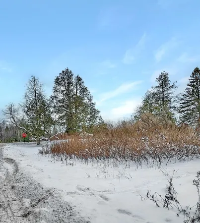 $99,000 | 0 Mountain View Road, Whitefield, NH 03598