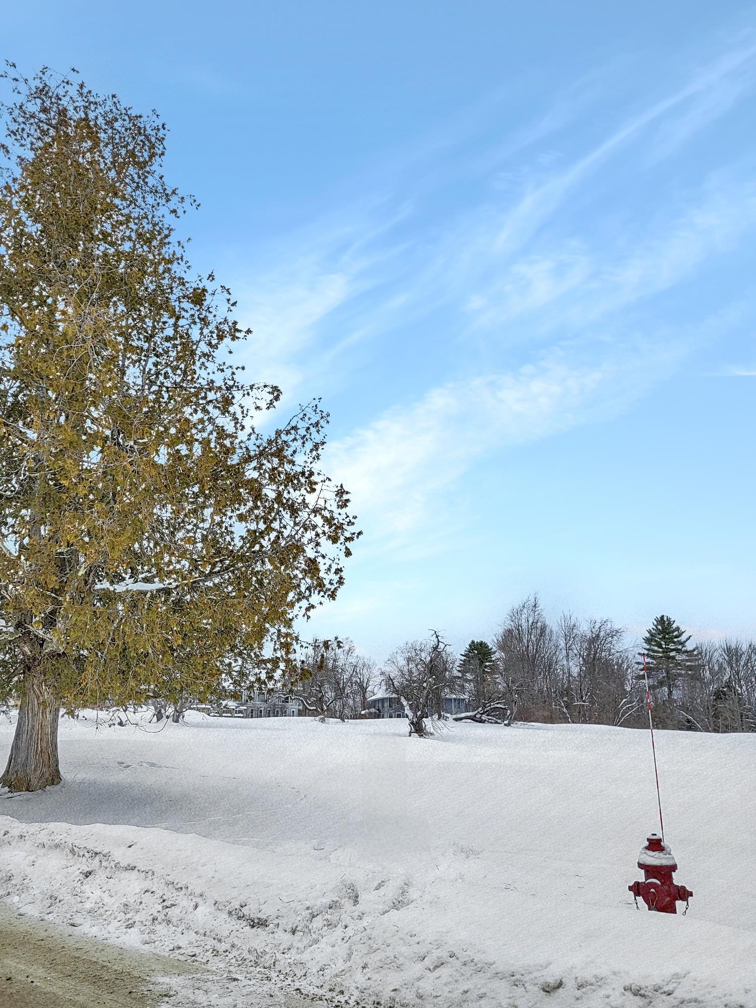 0 Mountain View Road Whitefield, NH 03598 - Photo 3 of 8