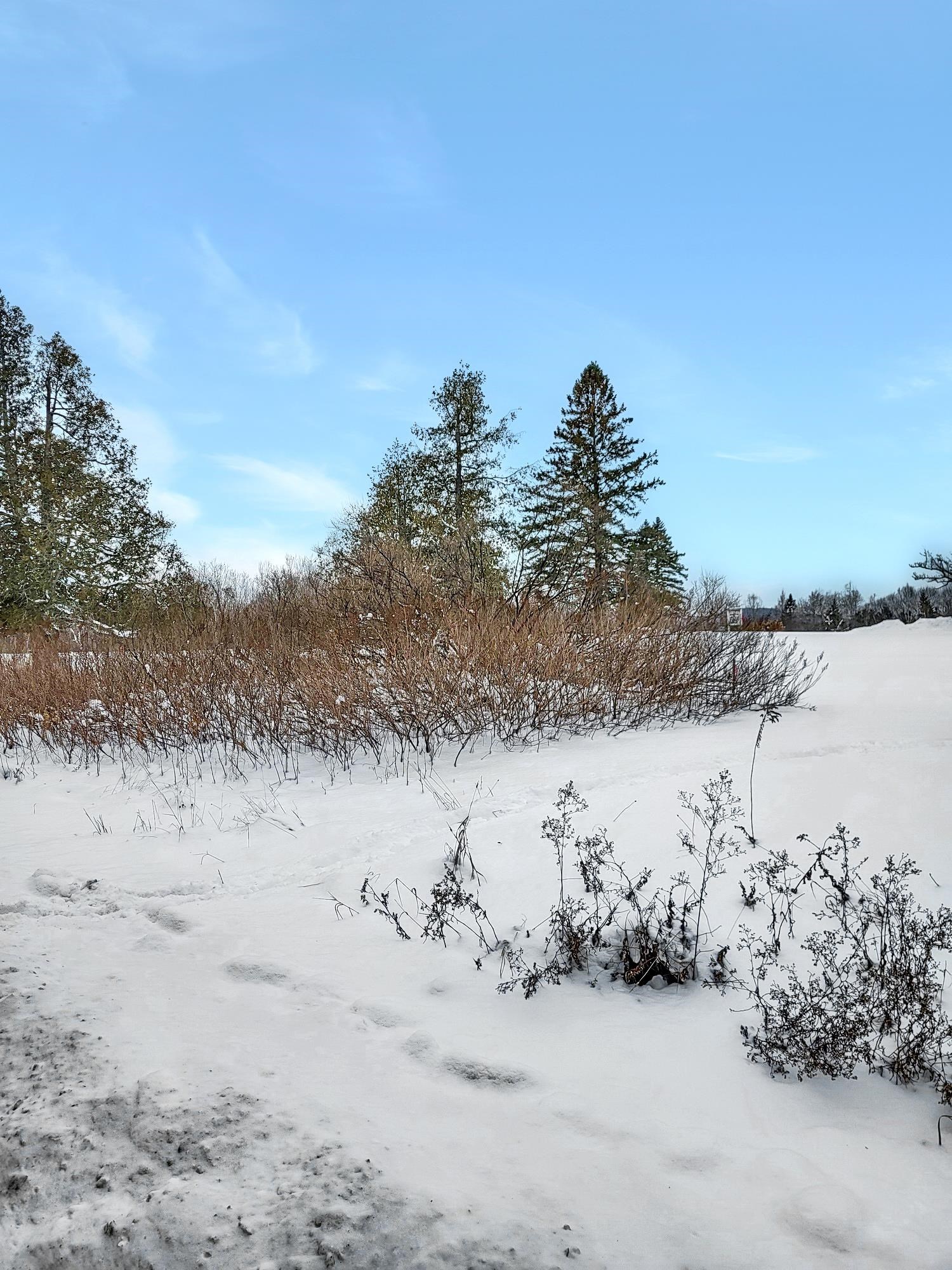 0 Mountain View Road Whitefield, NH 03598 - Photo 4 of 8