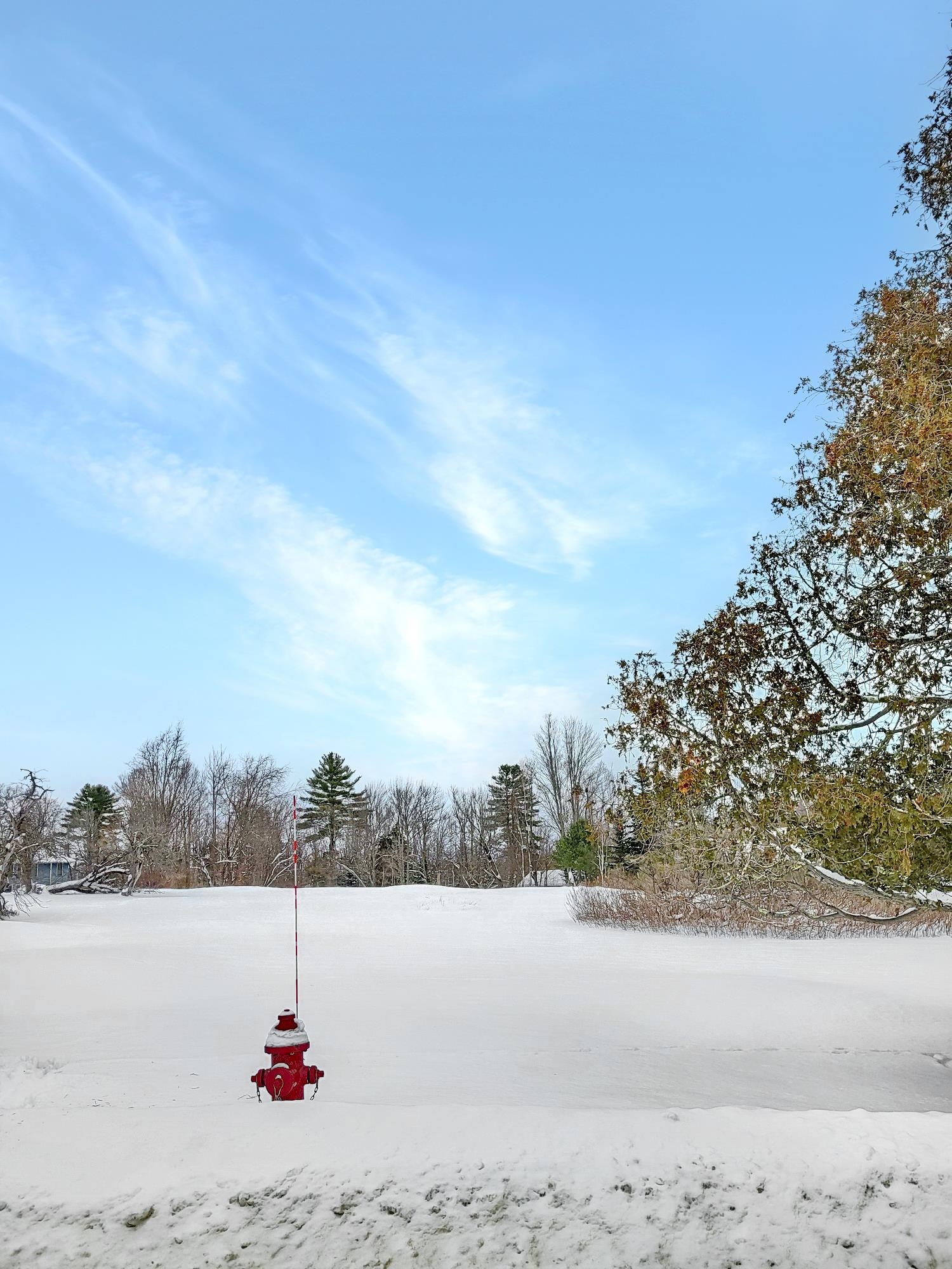 0 Mountain View Road Whitefield, NH 03598 - Photo 6 of 8