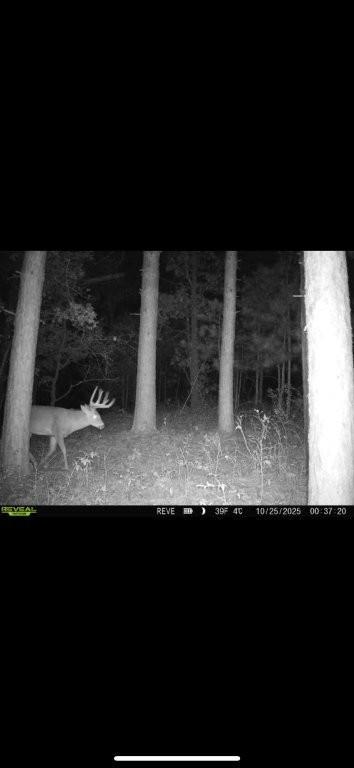 Tbd Claire Road Melrose, WI 54642 - Photo 16 of 17 Gallery Image 16