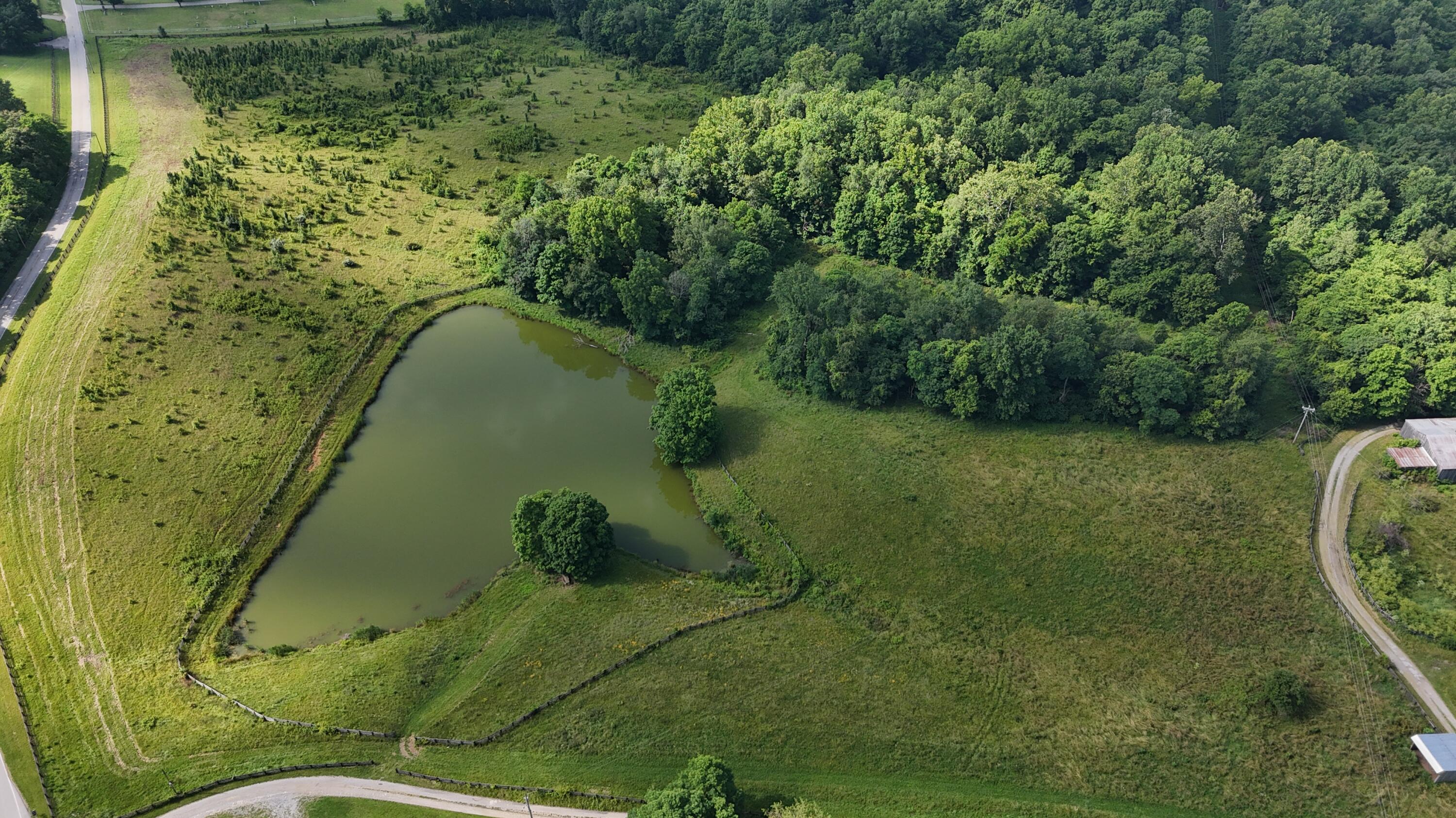 9477 Beechgrove Road Burlington, KY 41005 - Photo 5 of 47 DJI_20260617102054_0630_D
