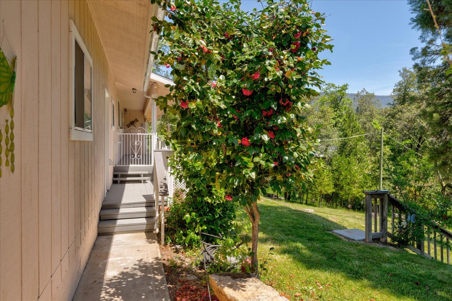 2361 Coachman Road Mariposa, CA 95338 - Photo 8 of 48 Gallery Image 8