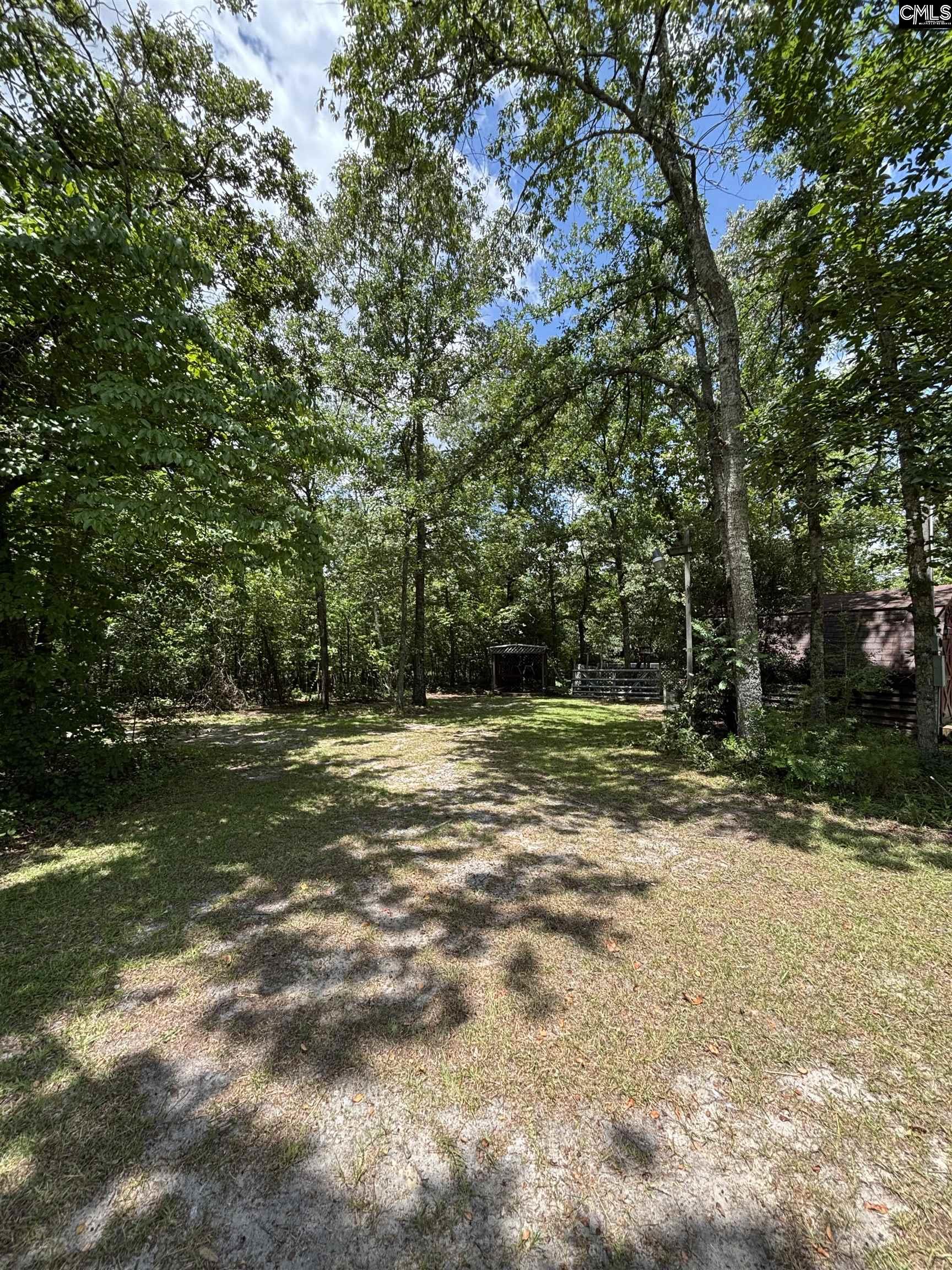 3904 Calks Ferry Road Pelion, SC 29123 - Photo 31 of 44