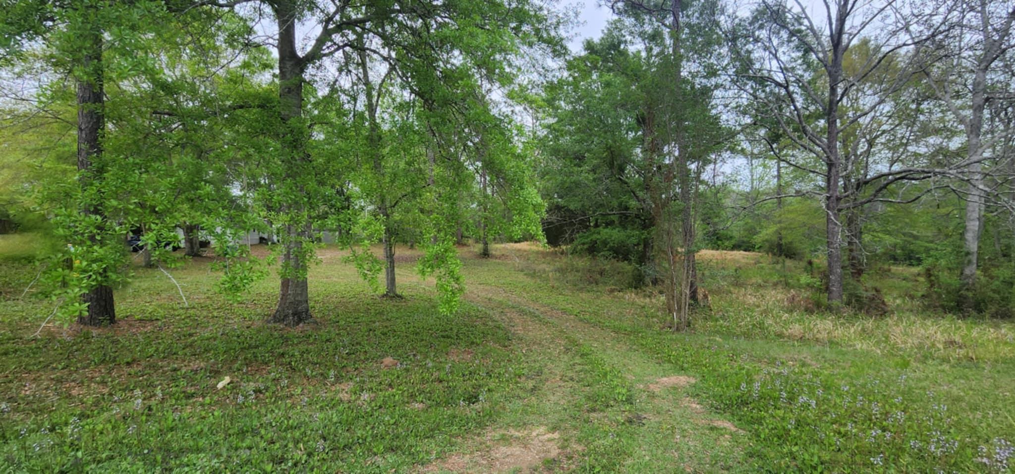 24407 Patterson Road Robertsdale, AL 36567 - Photo 2 of 18 Community