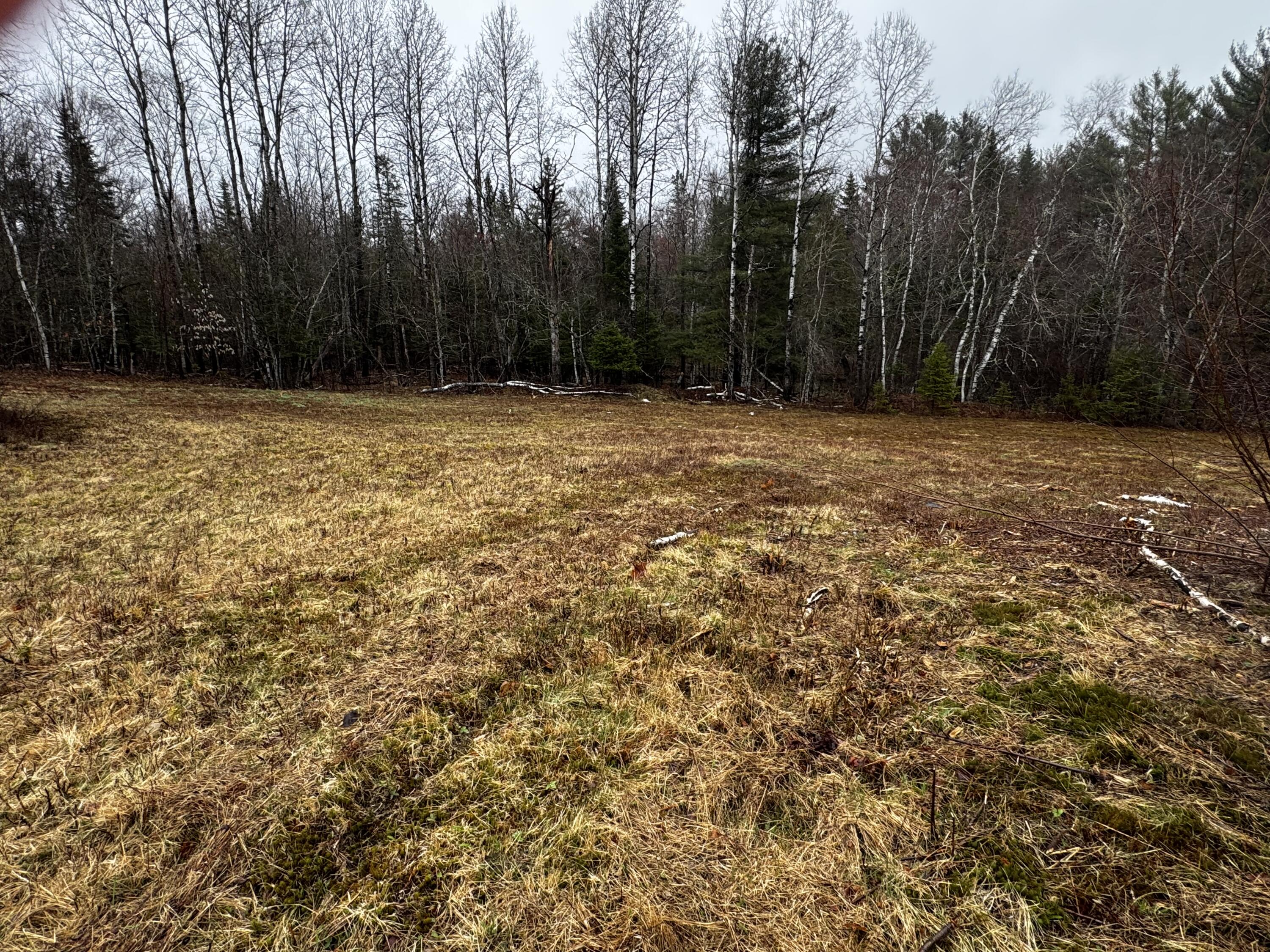 1248 Kingman Road Kingman, ME 04451 - Photo 11 of 23 IMG_4059