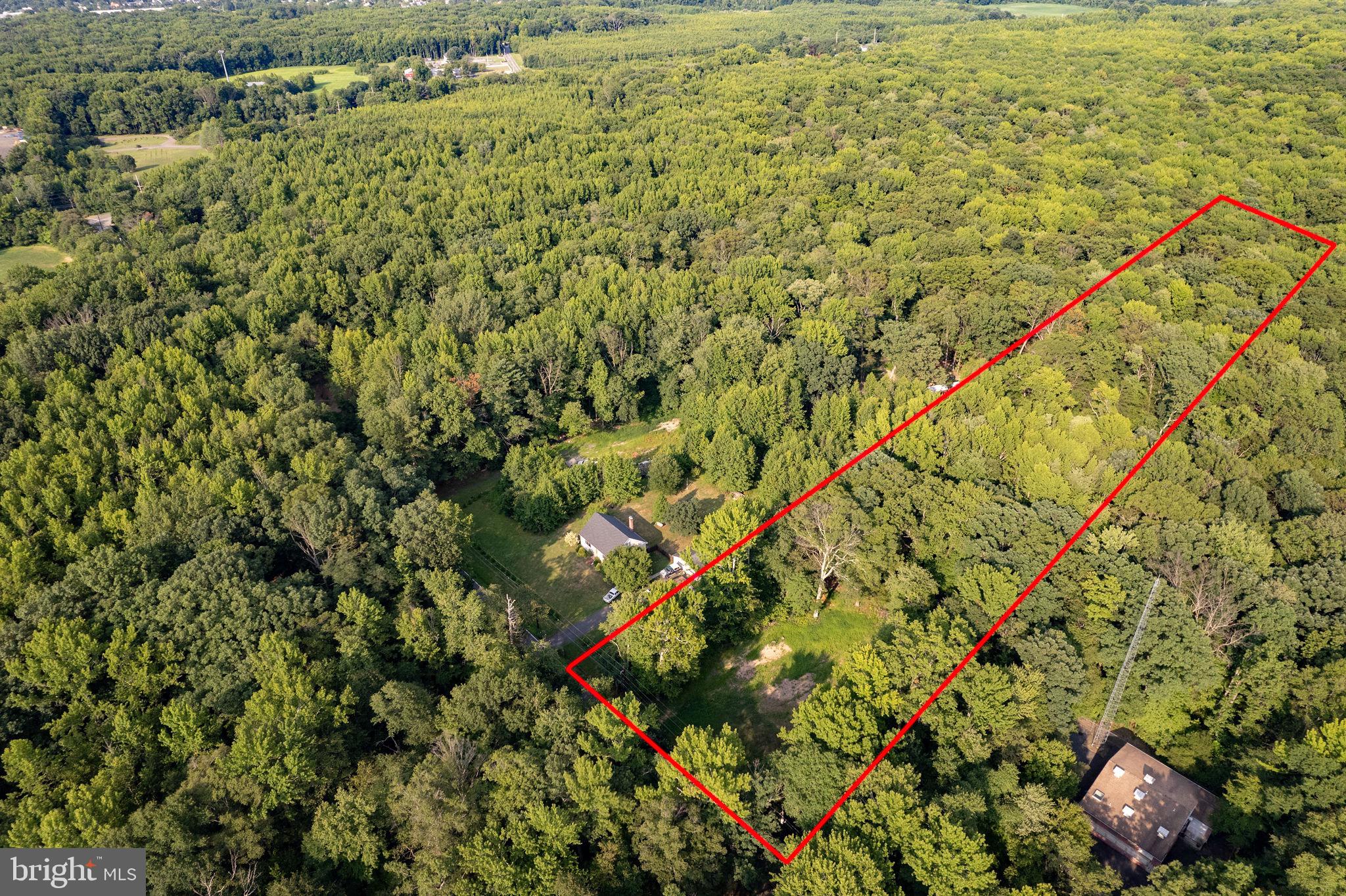 82 Miller Road Cranbury, NJ 08512 - Photo 2 of 11 Neighboring wooded properties