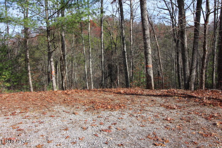 119 Taylors Rdg Road Walland, TN 37886 - Photo 1 of 27 SaddleRidge 012