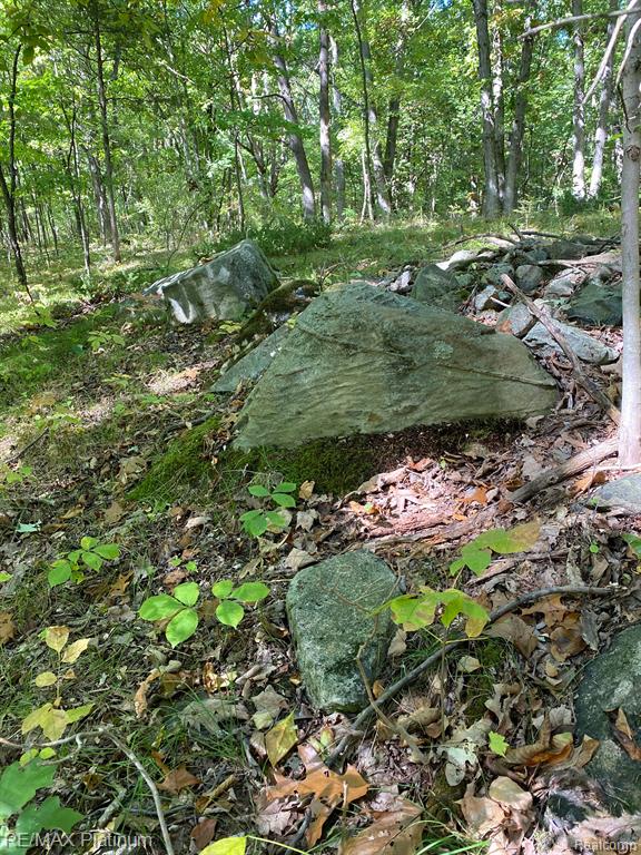 9532 Scully Road Whitmore Lake, MI 48189 - Photo 16 of 27
