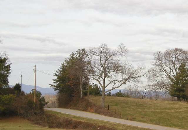 129 Bridgewater Road Pickens, SC 29671 - Photo 3 of 3