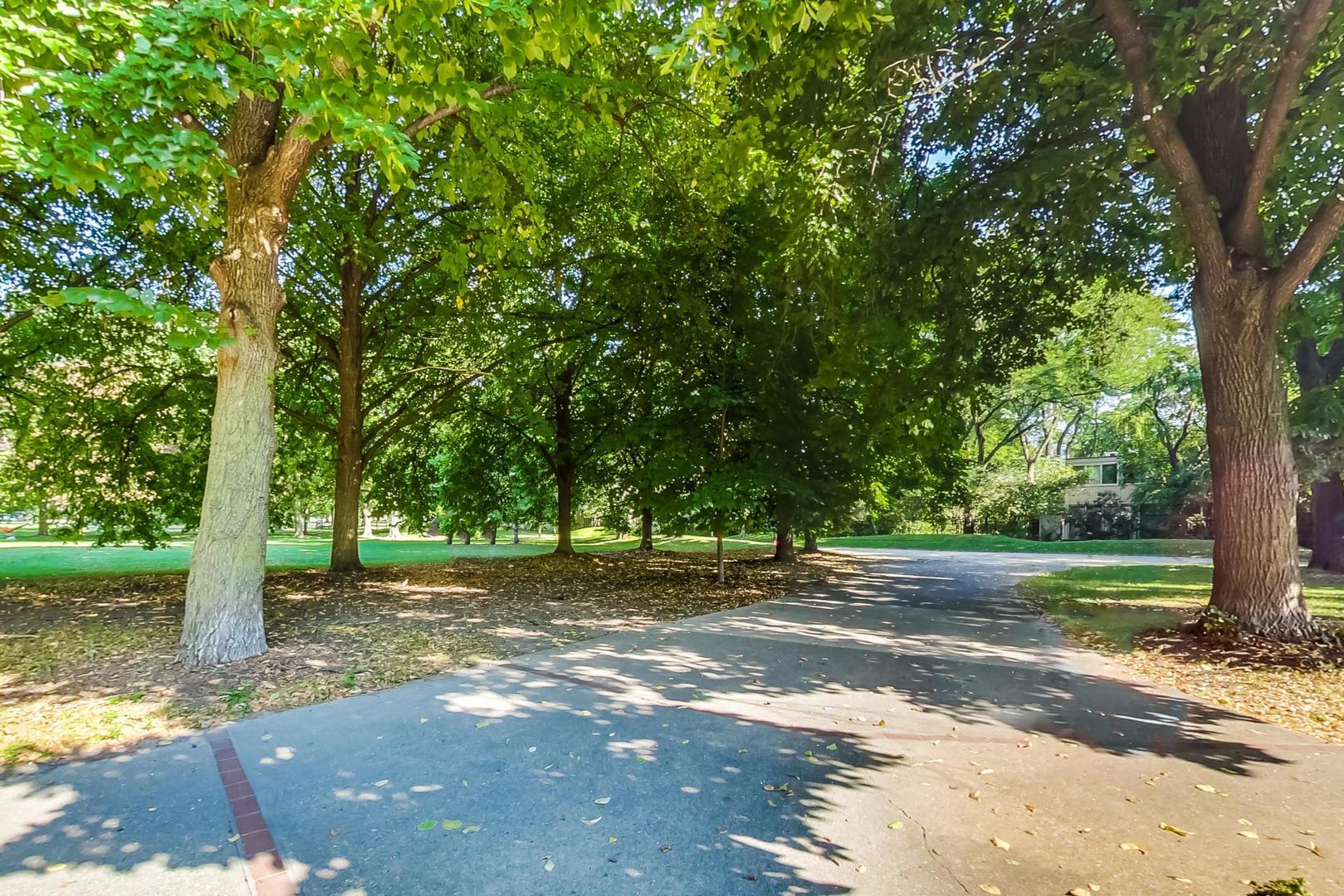 1422 West Lexington Street, Unit 2F Chicago, IL 60607 - Photo 17 of 19 a view of a yard with a tree