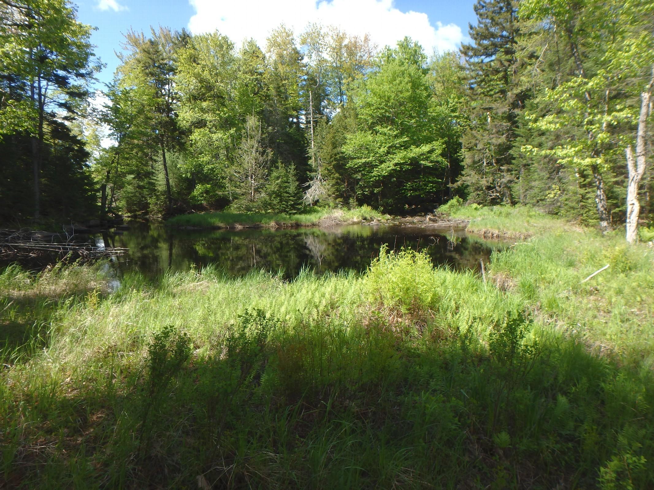 0 Dresser Road Bucksport, ME 04416 - Photo 7 of 7 Soucy_11108_P07_117277