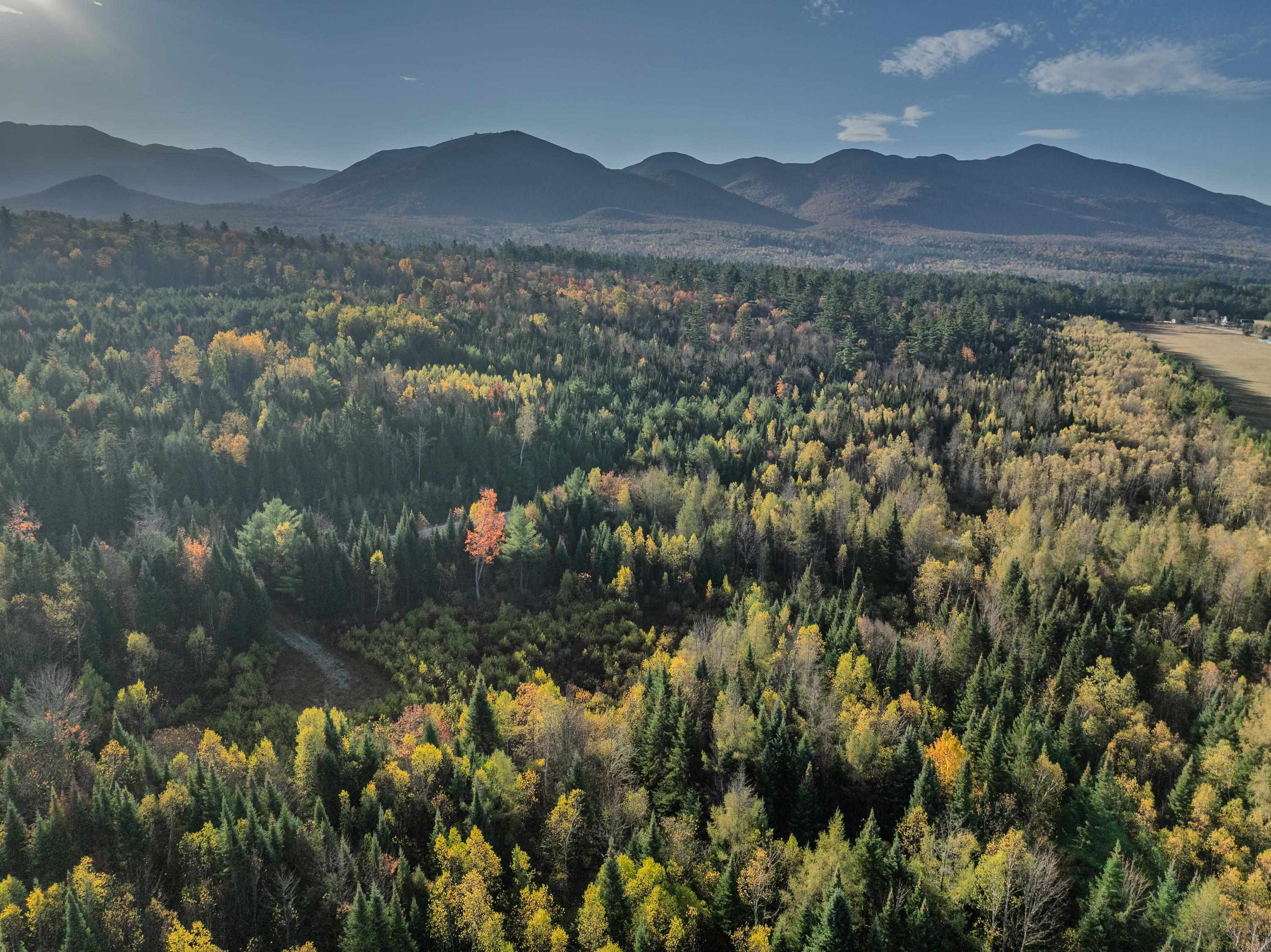 Mckenzie Woods Road Franconia, NH 03580 - Photo 23 of 23