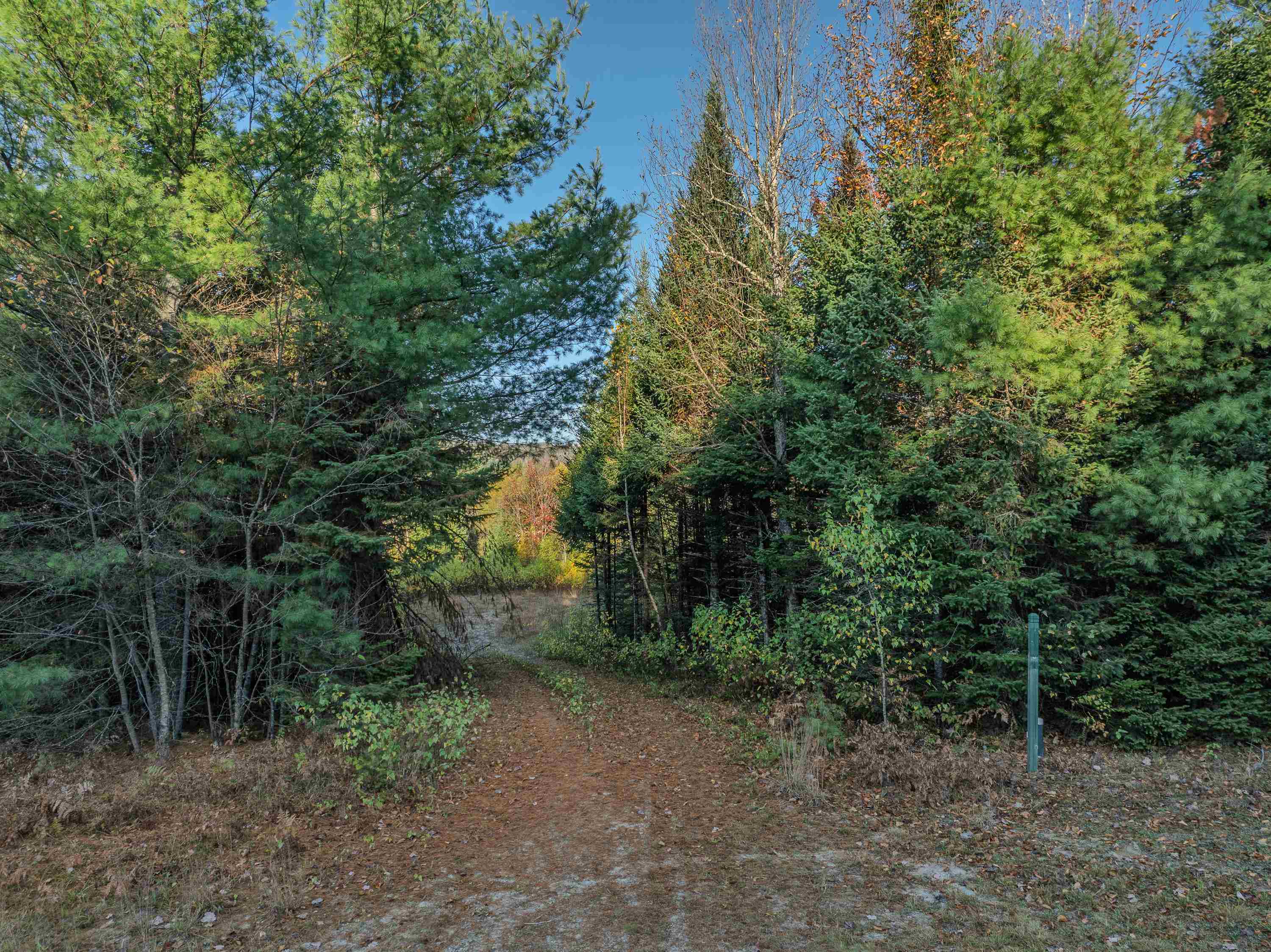 Mckenzie Woods Road Franconia, NH 03580 - Photo 3 of 23