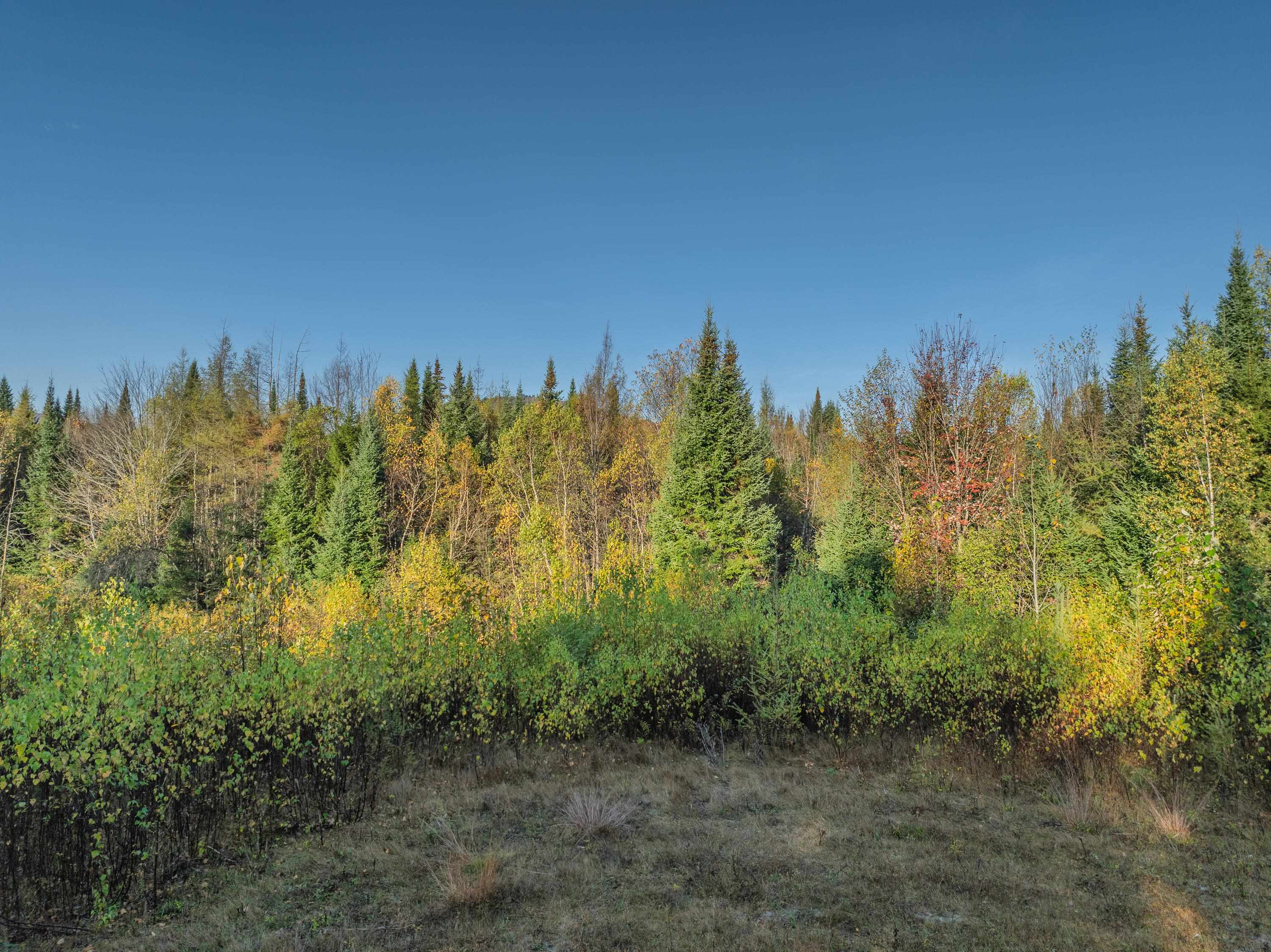 Mckenzie Woods Road Franconia, NH 03580 - Photo 5 of 23