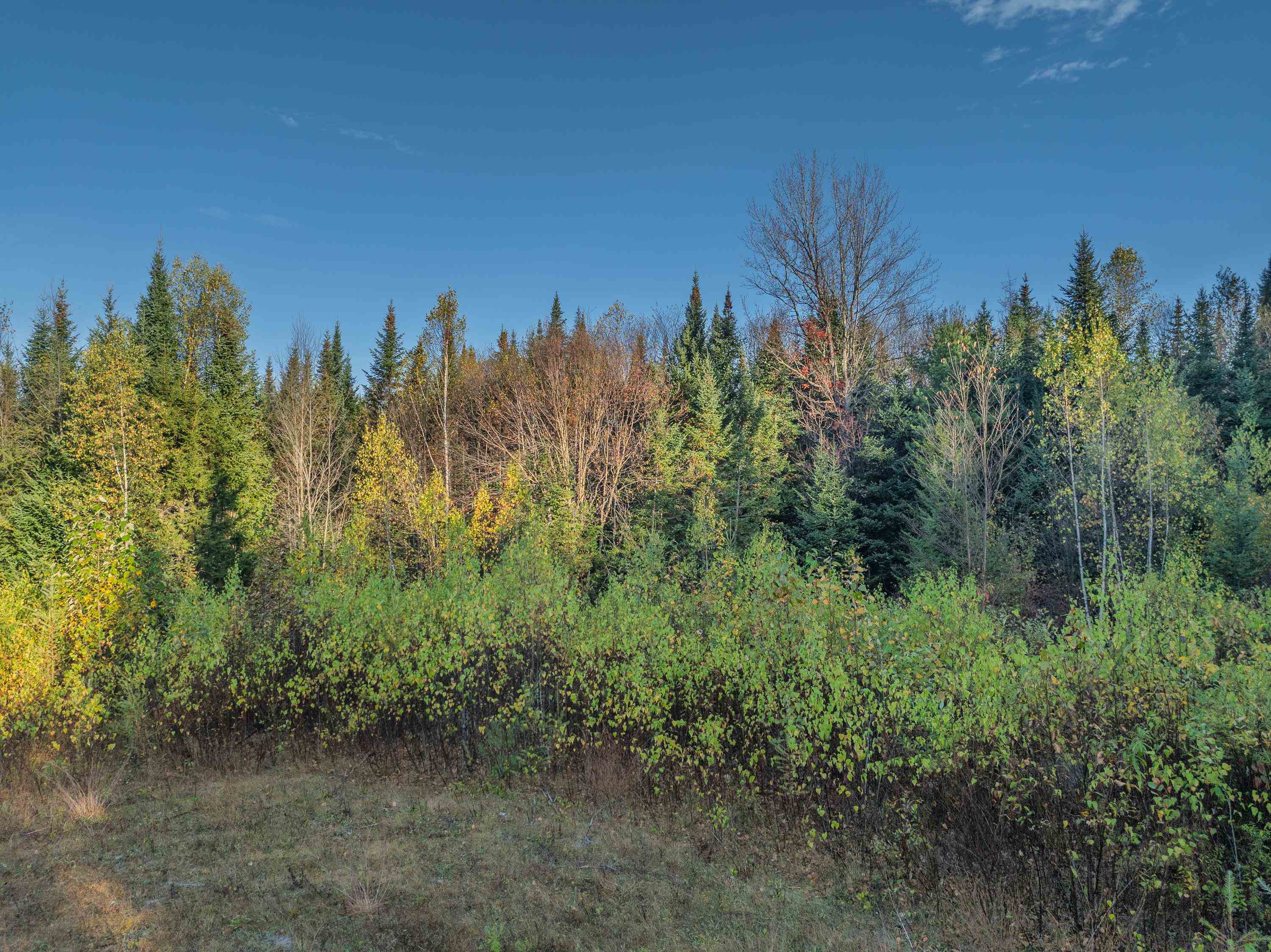Mckenzie Woods Road Franconia, NH 03580 - Photo 6 of 23