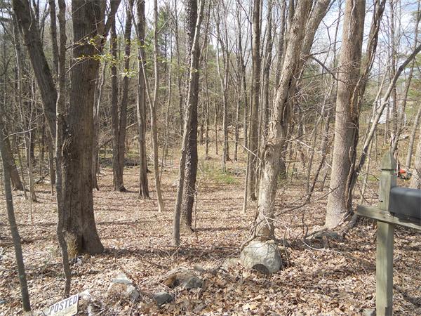 0 Morton Station Road Charlton, MA 01507 - Photo 5 of 6 Gallery Image 5