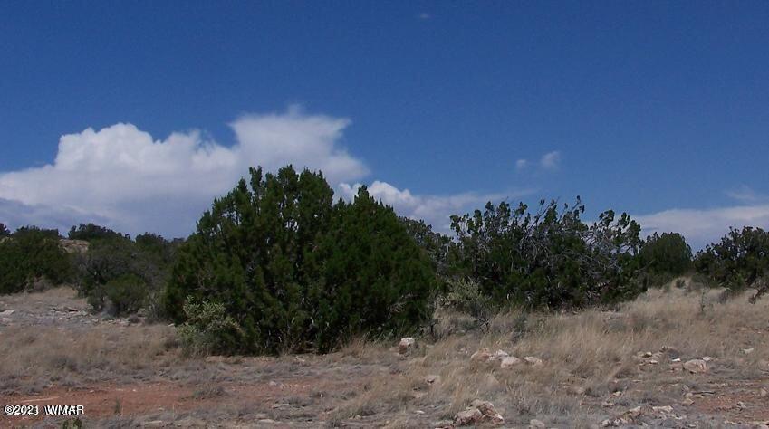Lot 459 Chevelon Canyon Ranch, Unit 3 Heber, AZ 85928 - Photo 2 of 3
