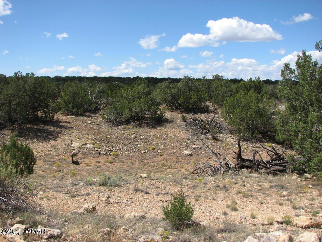Lot 459 Chevelon Canyon Ranch, Unit 3 Heber, AZ 85928 - Photo 3 of 3