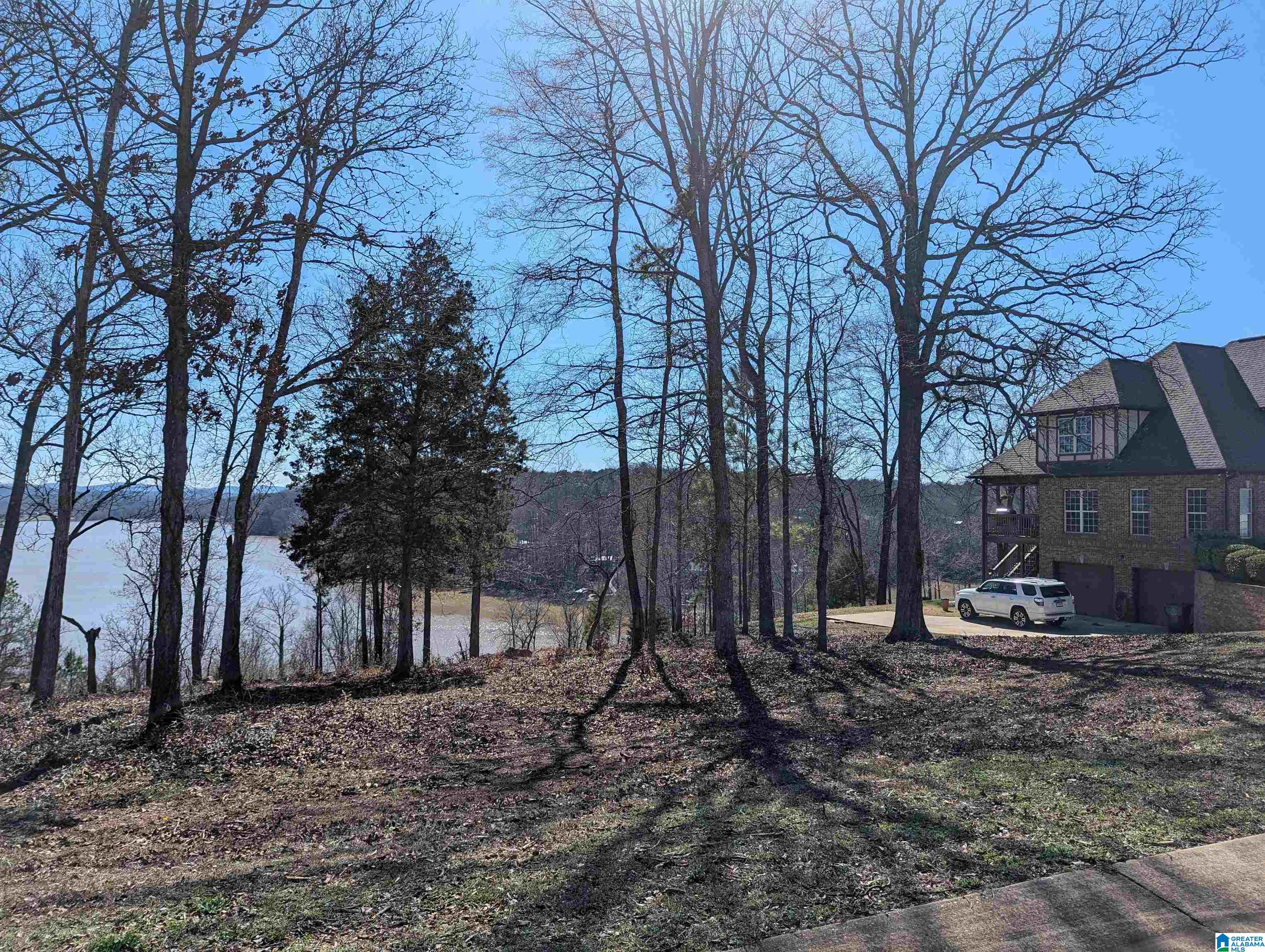 0 Overlook Ridge Lincoln, AL 35096 - Photo 4 of 33