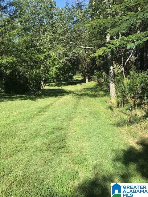 368 Bynum Road, Unit 2 9 AC Steele, AL 35987 - Photo 8 of 12