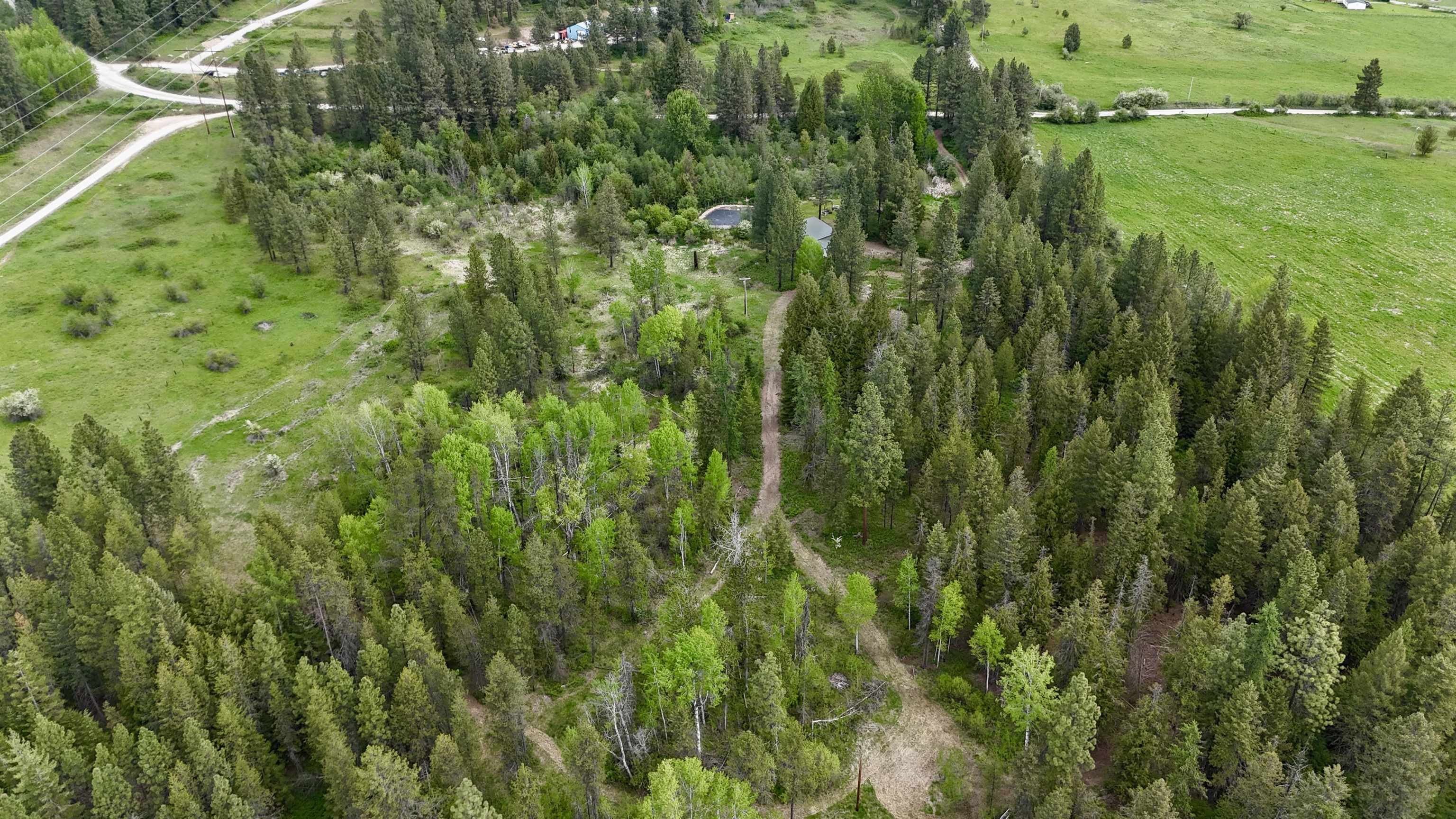 251 Sicley Road Cusick, WA 99119 - Photo 34 of 47
