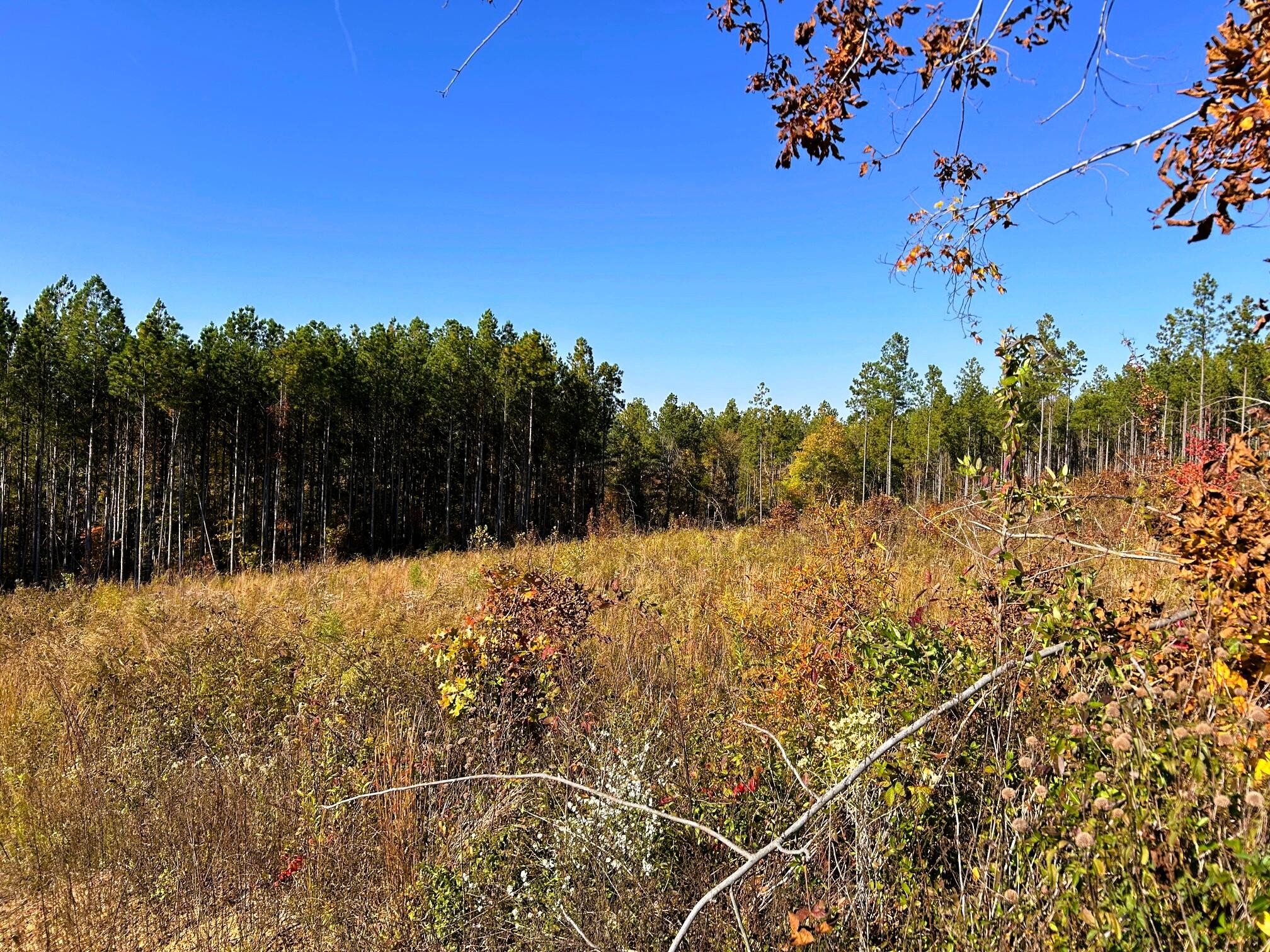 17 Hughes Lake Road Southeast Cleveland, TN 37323 - Photo 12 of 25